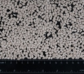 sulfat-ammoniya-granulirovannij-forma-regbi_2
